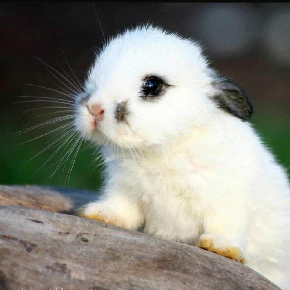 Meet your Posher, Stephany